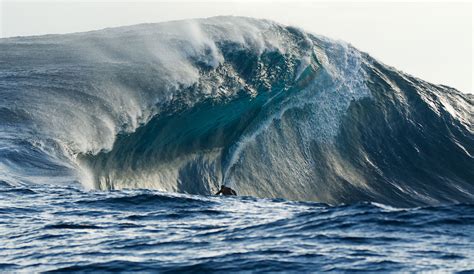 Weird surf curse
